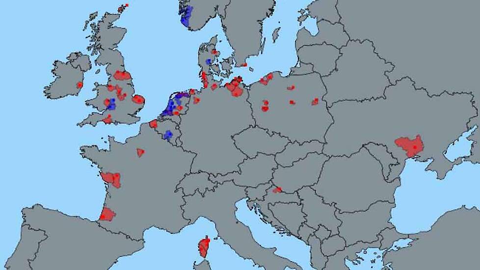 Kaart vanuit Europese ADNS meldingstool met AI besmet pluimvee. Rood is commercieel, blauw is hobby pluimvee.