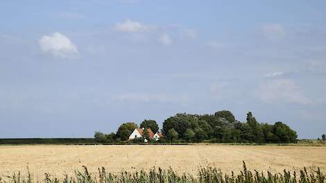 Afbeelding van een boerderij in Zeeland ter illustratie.