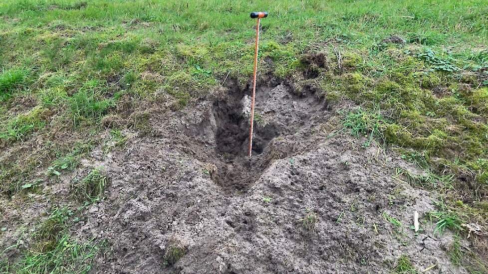 Graafschade op een dijk in het beheersgebied van waterschap Drents Overijsselse Delta.