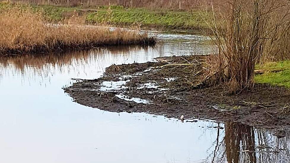 Als voorbeeld van het vreemde peilbeleid van het Waterschap Limburg verwijst Geraats naar het peil van de Tungelroijse beek tijdens de kerstdagen.