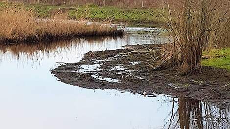 Als voorbeeld van het vreemde peilbeleid van het Waterschap Limburg verwijst Geraats naar het peil van de Tungelroijse beek tijdens de kerstdagen.