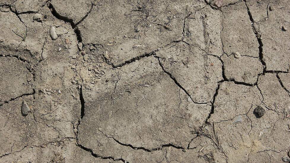 Scheuren in de grond vanwege de droogte.