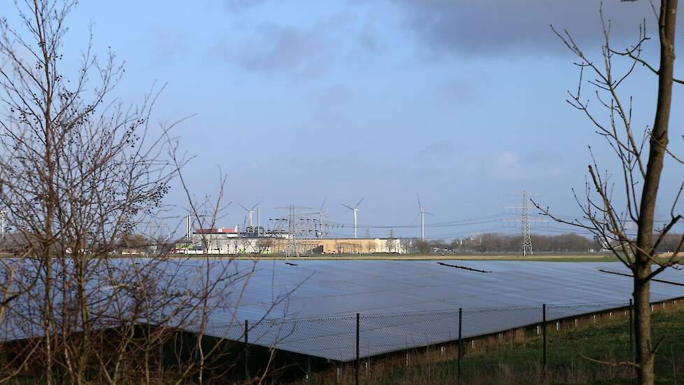 Afbeelding van een zonnepark in Groningen ter illustratie.