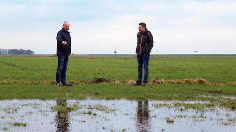 Wim en zijn zoon Tim zijn erg bedreven in het weidevogelbeheer.