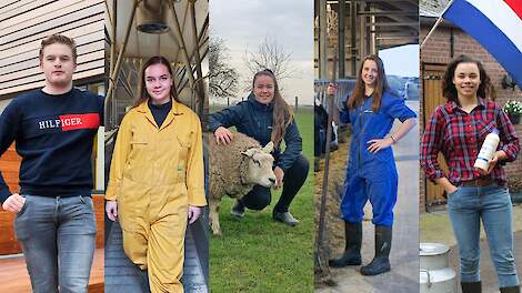 Van links naar rechts de vloggers: Robin, Rhodee, Vivianne, Geerke en Naomi.