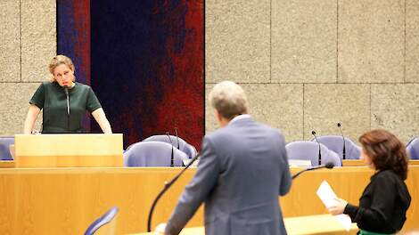 Beeld uit de Tweede Kamer, ter illustratie.