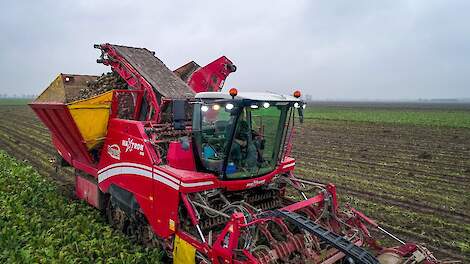 Suikerbieten rooien | Sugar beet harvest | Zuckerrüben ernte | Grimme MaXtron | John Deere | Beco