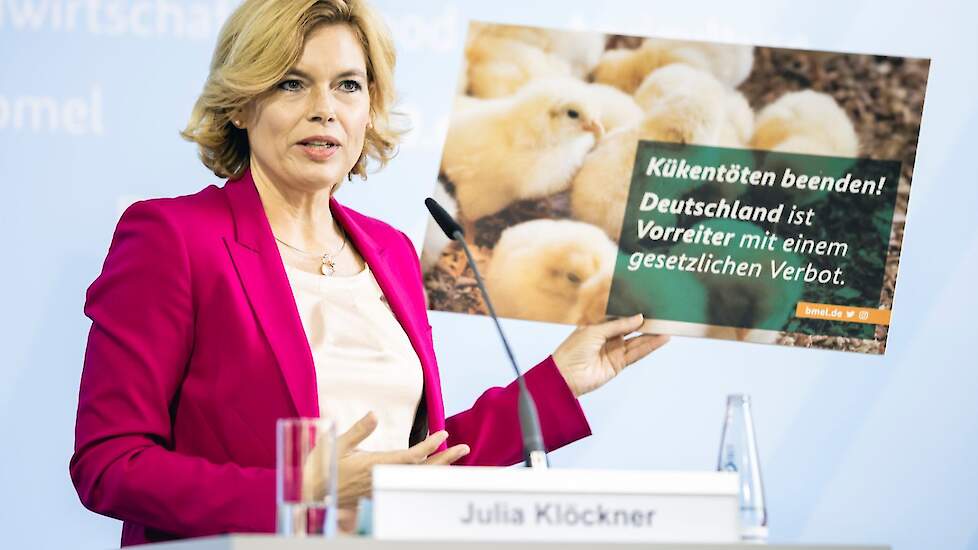De Duitse minister van Landbouw Julia Klöckner (foto) diende in september een wetsontwerp in om het doden van eendagshaantjes vanaf 2022 te beëindigen. Het wetsvoorstel is woensdag 20 januari door het kabinet in Berlijn goedgekeurd.