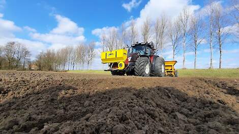uien planten