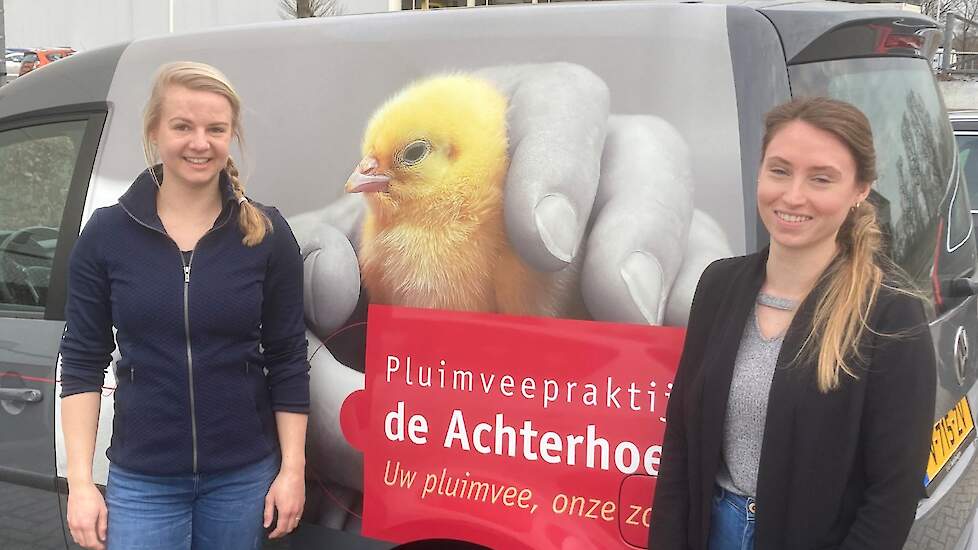Pluimveedierenartsen Fiona van Kaam (links) en Priscilla Zieltjens zijn sinds 1 februari werkzaam voor Pluimveepraktijk de Achterhoek in het Gelderse Ruurlo.