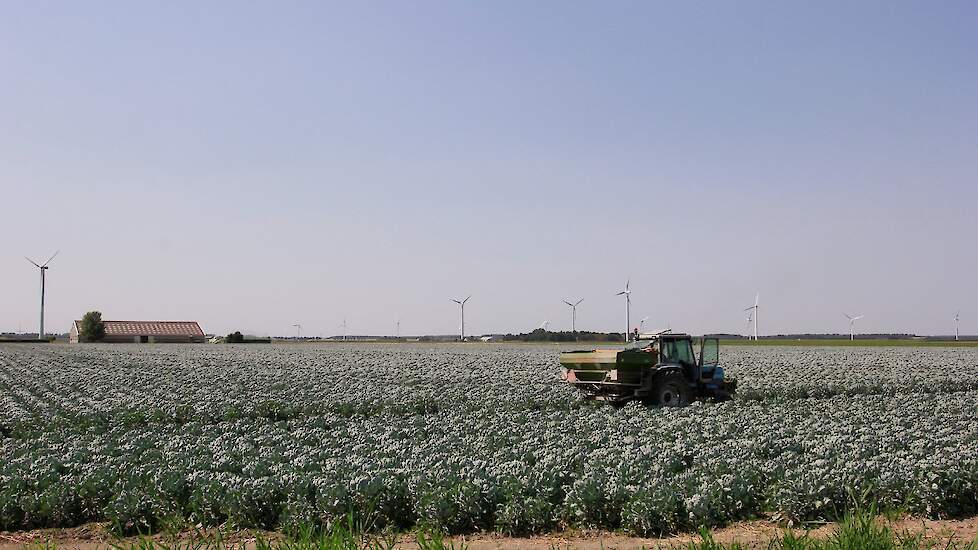 Afbeelding van een trekker in zuidelijk Flevoland