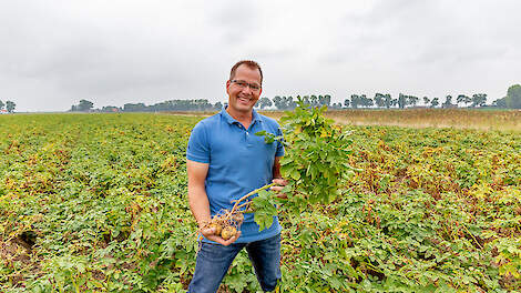 ‘Schoon pootgoed en tijdig starten met Olie-H zijn een must’, aldus Jan-Willem Scherpenisse.