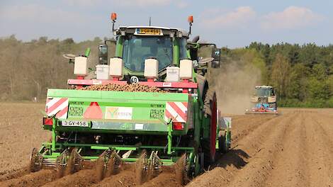 De verwachting is dat dit jaar een kleiner areaal aardappelen wordt gepoot en er relatief meer vrije aardappelen komen. Dit zorgt voor termijnnoteringen april 2022 van rond de 16,50 euro.