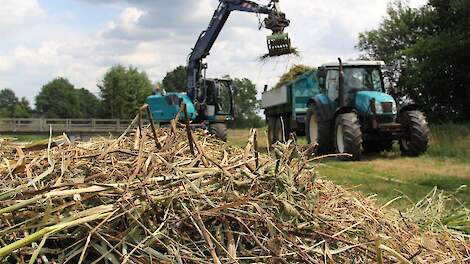 Afbeelding van ophalen van maaisel voor compost om de bodem te verbeteren ter illustratie.