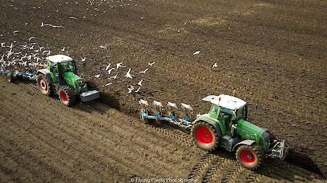 Ploegen XL | Ploughing | Pflügen | Fendt 820 | Fendt 716 | Lemken Juwel 8 | Lemken Vari-EurOpal 7