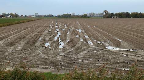 Afbeelding van Zeeuws landschap ter illustratie.