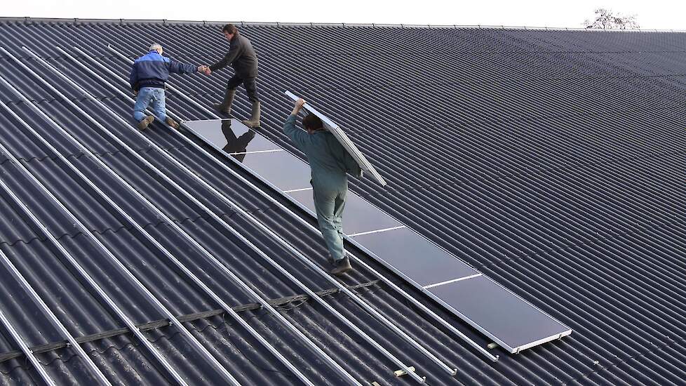 Met de regeling Jonge Landbouwers kunnen boeren tot 41 jaar onder meer subsidie aanvragen voor het plaatsen van zonnepanelen bij de provincie Noord-Holland.