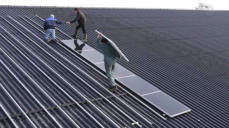 Met de regeling Jonge Landbouwers kunnen boeren tot 41 jaar onder meer subsidie aanvragen voor het plaatsen van zonnepanelen bij de provincie Noord-Holland.