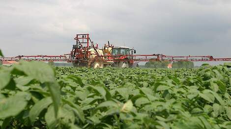 gewasbescherming in aardappelen