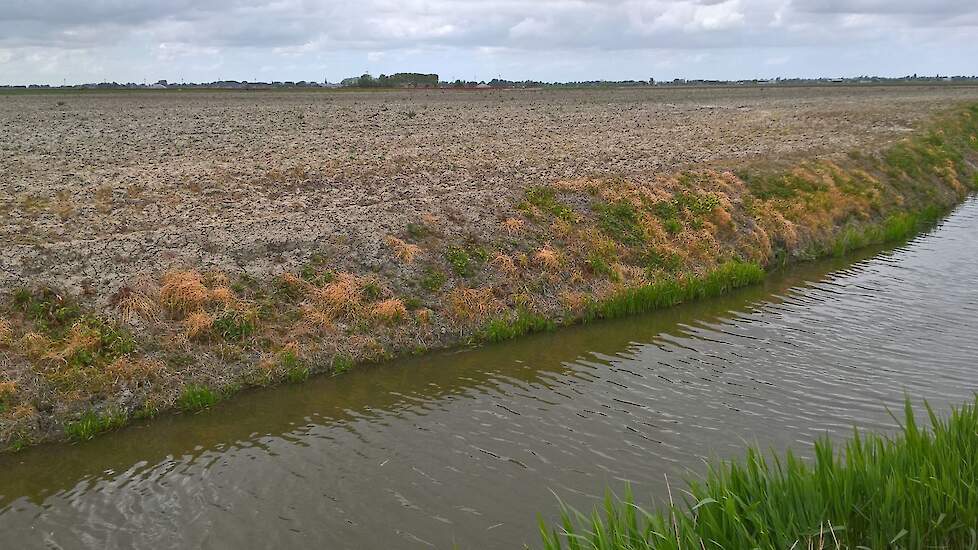 Het talud van de sloot mag niet worden bespoten met gewasbeschermingsmiddelen.