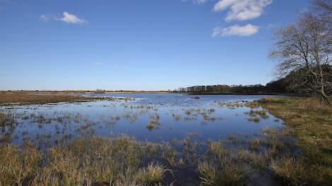 Afbeelding van Natura-2000 gebied Haaksbergerveen ter illustratie.