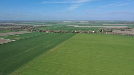 Graslandpercelen in de provincie Groningen.
