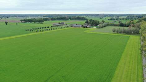 Dronebeeld van grasland. Op de site Groenmonitor.nl zijn de satellietbeelden te bekijken.