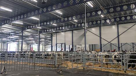 De nieuwe veemarkt is vanaf woensdag 5 mei geopend.