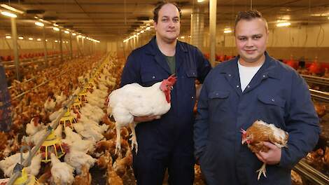 Melvin Hazeleger (23) nam in december vorig jaar het vleeskuikenouderdierenbedrijf over van broederij Morren. Links naast hem zijn rechterhand Martin Bloemendal (28).  