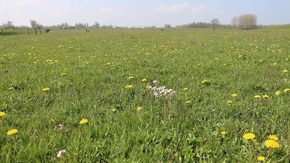 Uiterwaarden Gelderland leefgebied