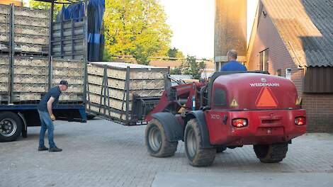 De vleeskuikenprijzen blijven de komende tijd stijgen, verwachten marktdeskundigen in Vlaanderen.