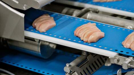 De I-Cut 122 Trimsort van Marel kan op veel verschillende manieren portioneren en sorteren. De meerderheid van producten voor retail-, QSR- en cateringklanten kan eenvoudig geproceerd worden.