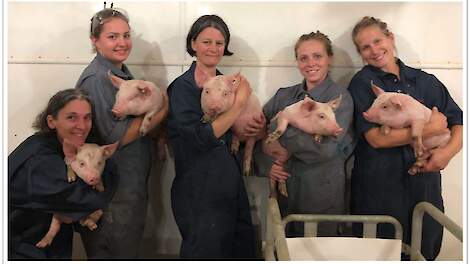 De medewerkers spelen een belangrijke rol bij het succes van een varkensbedrijf.
