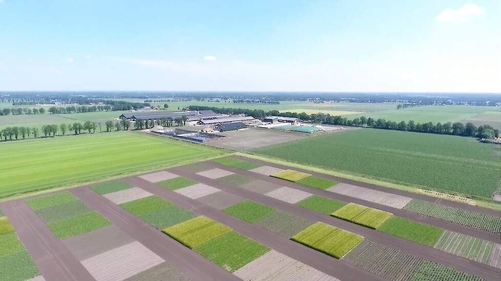 Proefveldjes bodemkwaliteit op zand in Vredepeel