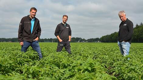 Luuk Hering, Bert Horsting en Frank ter Beke van HLB in het proefveld.