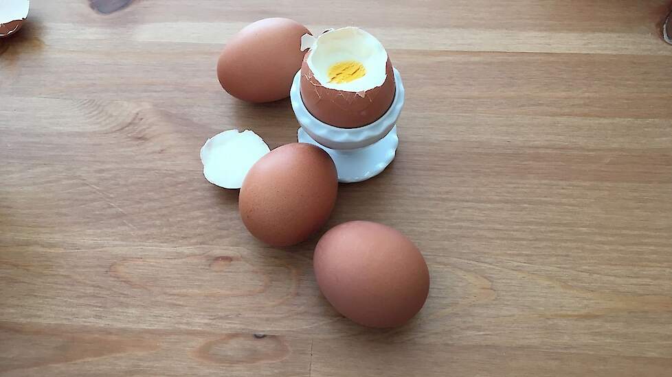 Het thuisverbruik van eieren in België steeg het afgelopen jaar met 13 procent ten opzichte van 2019.