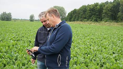 Fieldscout-app bekijken op het TopBodem-demoperceel.