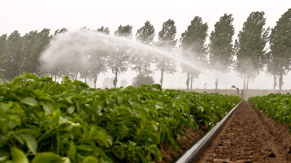 Buiten elke discussie over het gebruik van oppervlaktewater staat de teelt van NAK-pootgoed en ATR- en TBM-vermeerderingsmateriaal. Deze teelten mogen op geen enkele wijze in contact komen met oppervlaktewater.