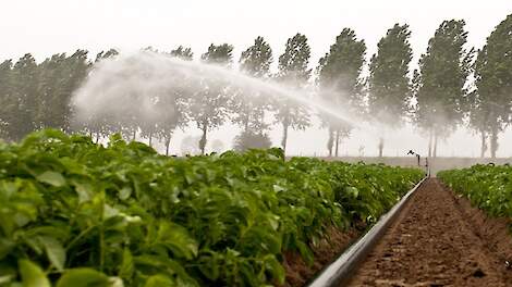 Buiten elke discussie over het gebruik van oppervlaktewater staat de teelt van NAK-pootgoed en ATR- en TBM-vermeerderingsmateriaal. Deze teelten mogen op geen enkele wijze in contact komen met oppervlaktewater.