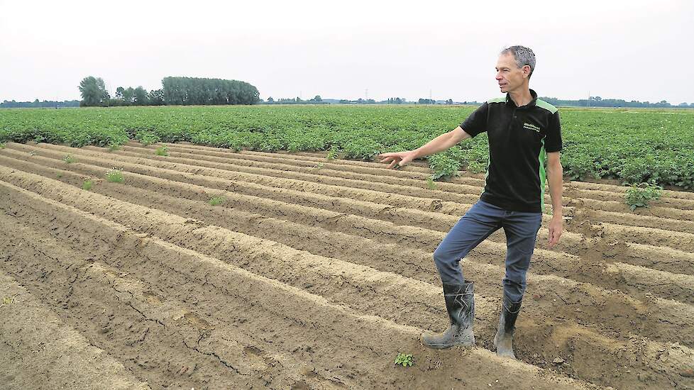 De lege plek in het aardappelperceel is het resultaat van de wateroverlast waar akkerbouwer Ben Minkhorst uit Hummelo in mei dit jaar mee kampte. De aardappelen zijn verzopen.