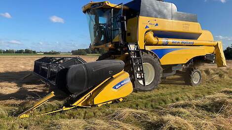 Het Zeeuwse loonbedrijf Wisse dorstte gisteren zijn eerste percelen roodzwenk. Het perceel wordt met het oog op zo weinig mogelijk zaadverlies in één werkgang gedorst.