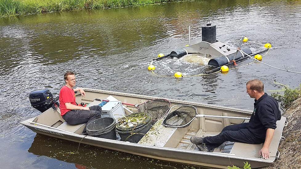 Terwijl de dode vissen uit het water worden gehaald, brengt een beluchtingsapparaat het zuurstofgehalte weer op peil.