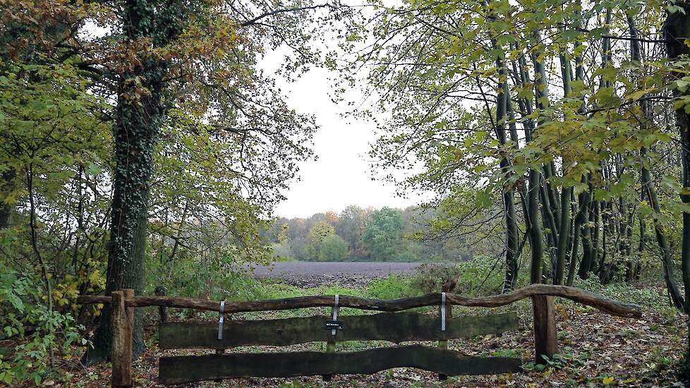 Een overschot aan stikstofdepositie op kwetsbare natuurgebieden staat nu de vergunningverlening in de weg.