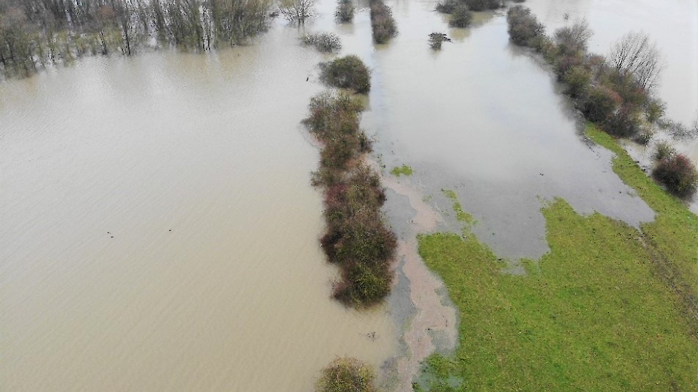 Afbeelding van hoog water in de Uiterwaarden ter illustratie.