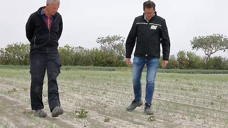 Tevreden constateren akkerbouwer Henk van Sluijs (l) en zijn adviseur Leo Zandee de goede werking van Crown MH op aardappelopslag in de zaaiuien.