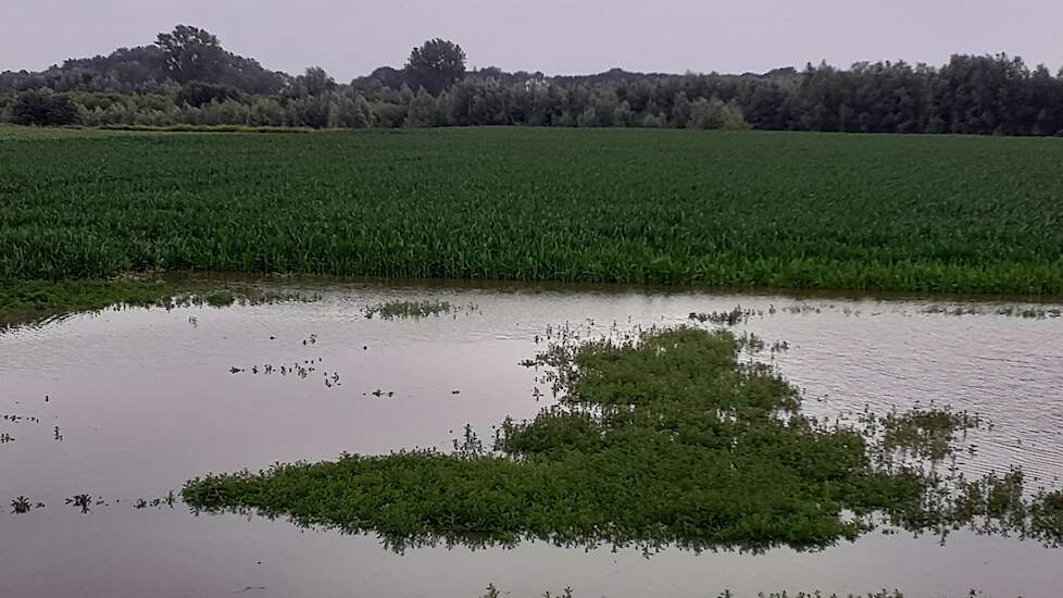 Hoogwater op komst bij de Maas in Batenburg (GLD)