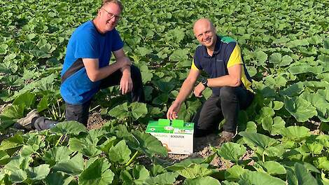 Pompoenteler Dennis de Weerd en Gerard de Pee (Agrifirm)