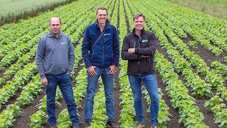 Erf bedrijfsleider Theo Heijboer, onderzoeker Dirk van Apeldoorn en ERF-directeur Jaco Burgers in de strokenteelt.