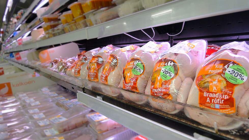 Colruyt Laagste Prijzen en OKay schakelen rond 2026 als eerste Belgische supermarkten over naar trager groeiende vleeskuikens  die voldoen aan de hogere dierenwelzijnscriteria, gebaseerd op het Europese Better Chicken Commitment (BCC). Beeld ter illustrat