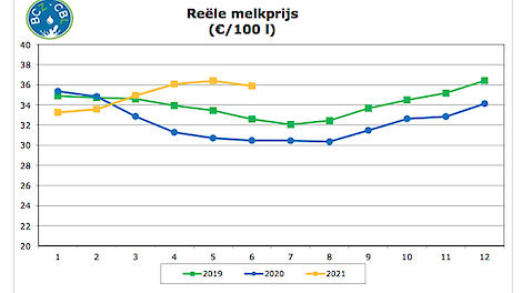 Lichtpuntje: de melkprijs in België ligt sinds april op of nabij de 36 cent per kilo; een zomerniveau dat boeren in België al lang niet meer hebben gezien.